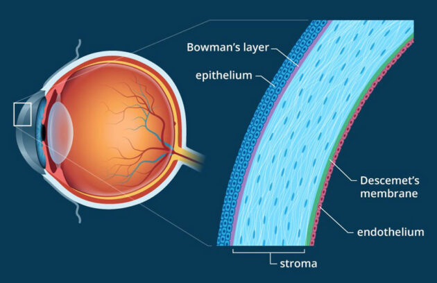 Corneal Services